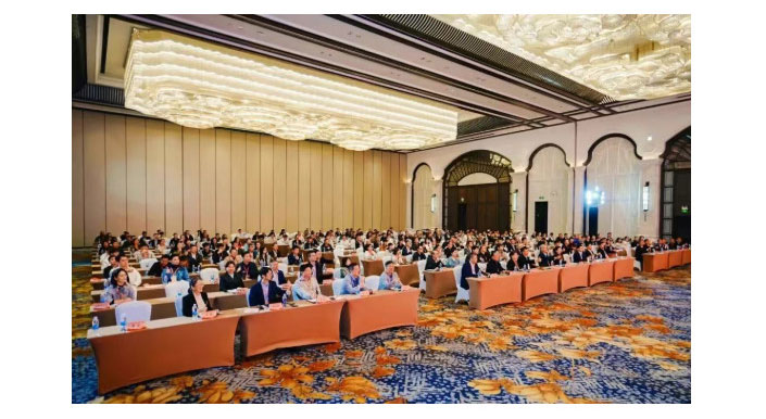 2025-12-16_151058_06